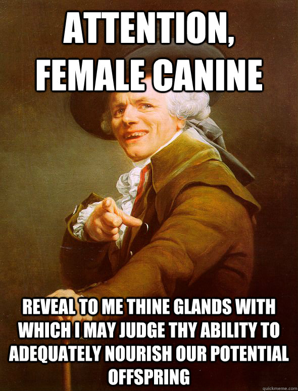 Attention, female canine Reveal to me thine glands with which I may judge thy ability to adequately nourish our potential offspring   Joseph Ducreux