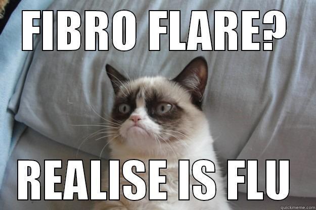 Chronic Illness Meme #2 - FIBRO FLARE? REALISE IS FLU Grumpy Cat