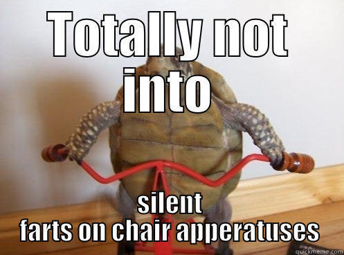 TOTALLY NOT INTO SILENT FARTS ON CHAIR APPERATUSES Misc