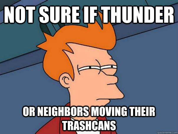 Not sure if thunder Or neighbors moving their trashcans  Futurama Fry