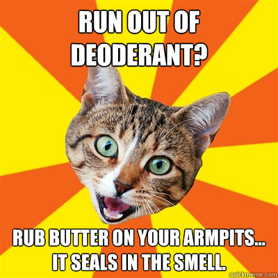 Run out of deoderant? Rub butter on your armpits... it seals in the smell.  Bad Advice Cat