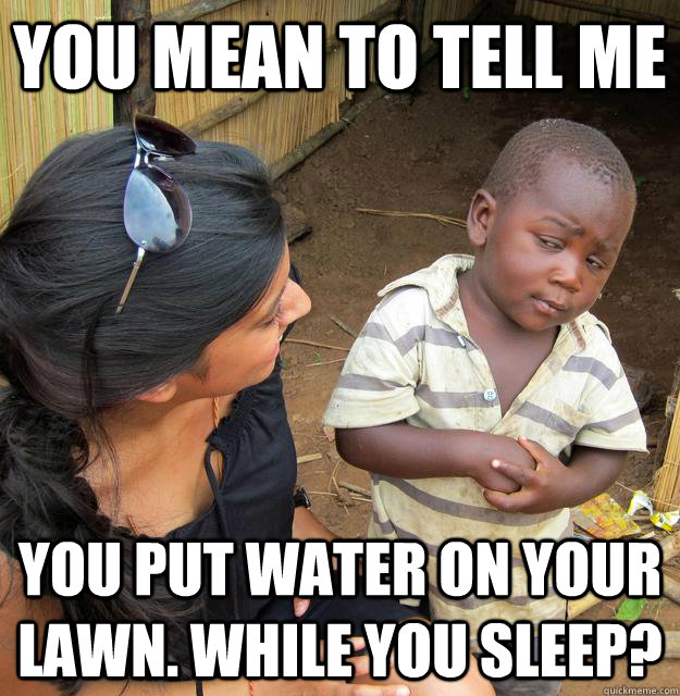 You mean to tell me You put water on your lawn. While you sleep?  Skeptical Third World Child