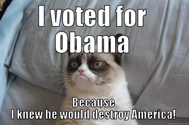 His vote! - I VOTED FOR OBAMA BECAUSE I KNEW HE WOULD DESTROY AMERICA! Grumpy Cat