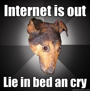 Internet is out Lie in bed an cry  Depression Dog