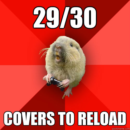 29/30 Covers to reload  Gaming Gopher