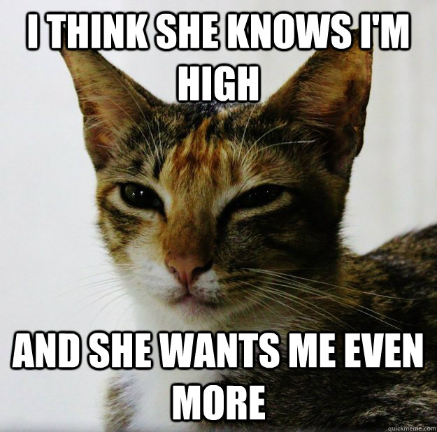 I think she knows I'm high and she wants me even more - I think she knows I'm high and she wants me even more  Misc