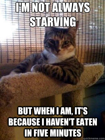 i'm not always starving but when i am, it's because i haven't eaten in five minutes   The Most Interesting Cat in the World