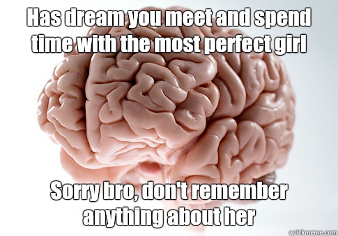 Has dream you meet and spend time with the most perfect girl Sorry bro, don't remember anything about her   Scumbag Brain