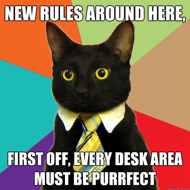 New rules around here, first off, Every desk area must be purrfect  Business Cat