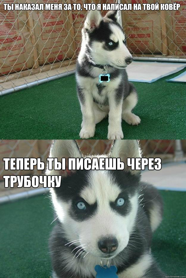 Ты наказал меня за то, что я написал на твой к  Insanity puppy