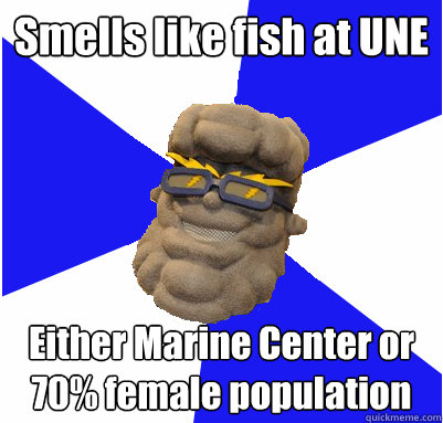 Smells like fish at UNE Either Marine Center or 70% female population - Smells like fish at UNE Either Marine Center or 70% female population  UNEmes