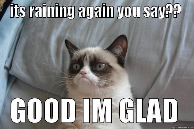 ITS RAINING AGAIN YOU SAY?? GOOD IM GLAD Grumpy Cat