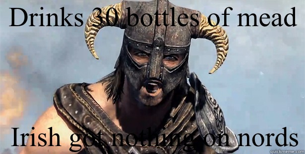 Drinks 30 bottles of mead Irish got nothing on nords  skyrim