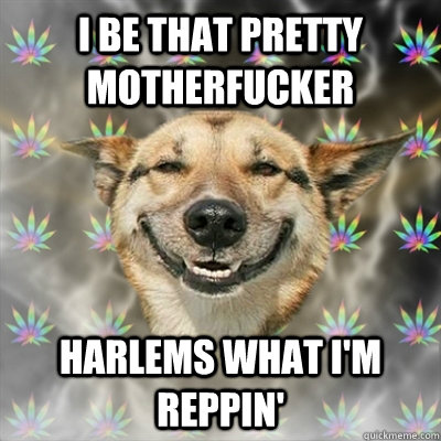 i be that pretty motherfucker harlems what I'm reppin'   Stoner Dog