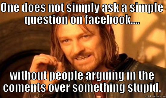 ONE DOES NOT SIMPLY ASK A SIMPLE QUESTION ON FACEBOOK.... WITHOUT PEOPLE ARGUING IN THE COMENTS OVER SOMETHING STUPID. Boromir