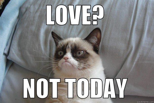 LOVE? NOT TODAY Grumpy Cat