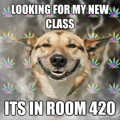 Looking for my new class its in room 420   Stoner Dog