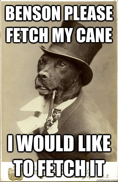 benson please fetch my cane I would like to fetch it  Old Money Dog