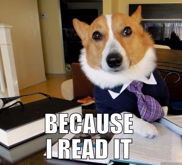 WHY I DON'T BELIEVE IN THE BIBLE BECAUSE I READ IT Lawyer Dog