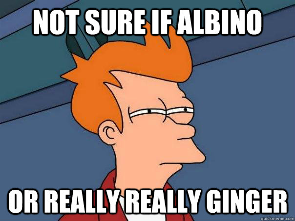 Not sure if albino Or really really ginger - Not sure if albino Or really really ginger  Futurama Fry