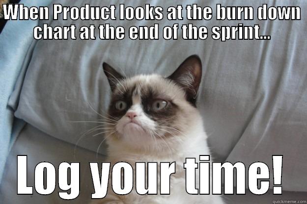 WHEN PRODUCT LOOKS AT THE BURN DOWN CHART AT THE END OF THE SPRINT... LOG YOUR TIME! Grumpy Cat