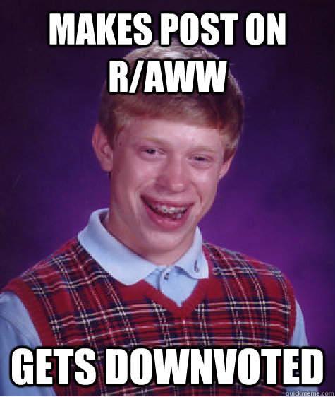 Makes post on r/aww gets downvoted  Bad Luck Brian