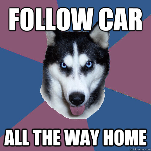 Follow Car All the way home - Follow Car All the way home  Creeper Canine