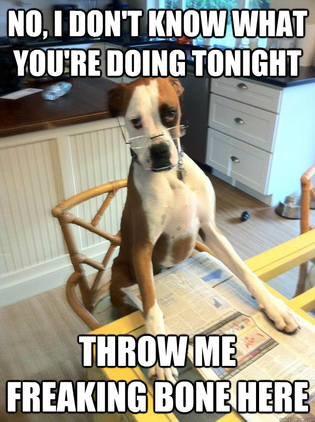 No, I don't know what you're doing tonight throw me freaking bone here - No, I don't know what you're doing tonight throw me freaking bone here  The Dog Father