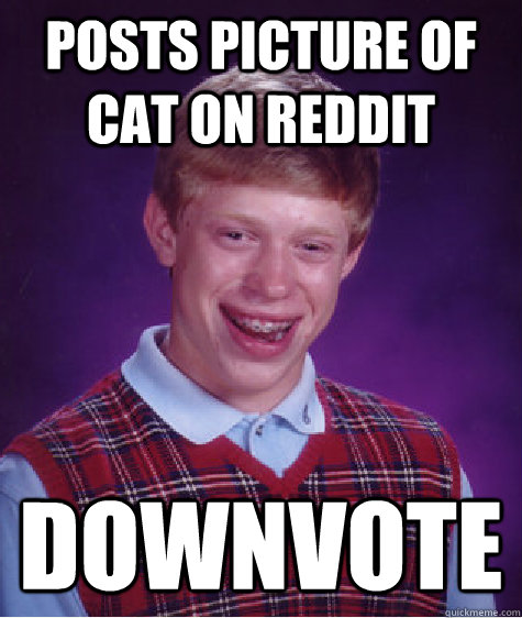 Posts picture of cat on reddit downvote  Bad Luck Brian