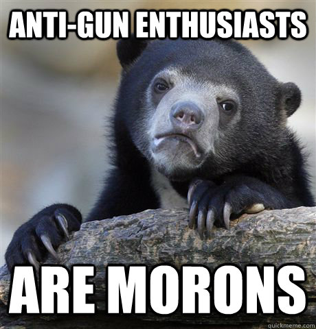 Anti-gun enthusiasts are morons   Confession Bear