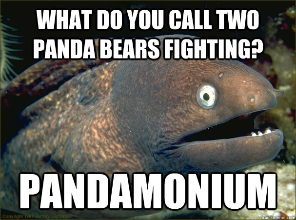 WHAT DO YOU CALL TWO PANDA BEARS FIGHTING? PANDAMONIUM - WHAT DO YOU CALL TWO PANDA BEARS FIGHTING? PANDAMONIUM  Bad Joke Eel