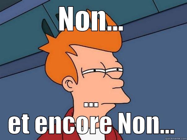 NON... ... ET ENCORE NON... Futurama Fry