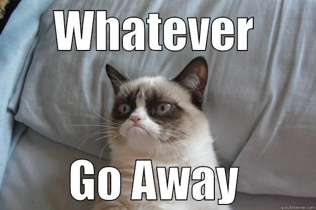 WHATEVER GO AWAY Grumpy Cat