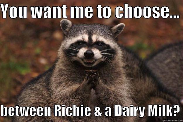 YOU WANT ME TO CHOOSE...   BETWEEN RICHIE & A DAIRY MILK? Evil Plotting Raccoon