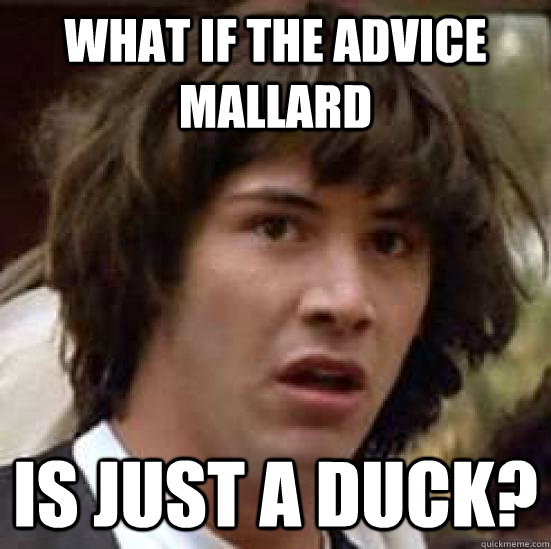 What if the advice mallard Is just a duck? - What if the advice mallard Is just a duck?  conspiracy keanu