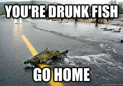 You're drunk fish go home  Road Fish