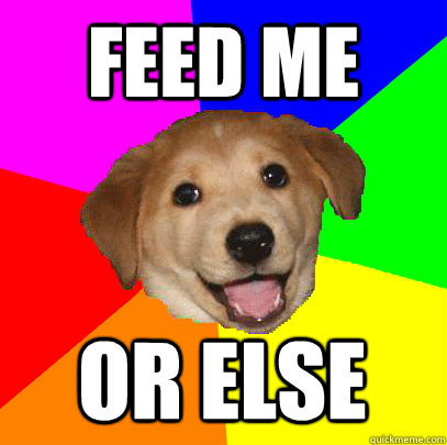 feed me or else  Advice Dog