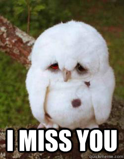  I miss you  Sad Owl