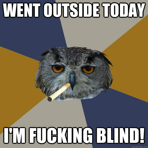 Went outside today I'M FUCKING BLIND! - Went outside today I'M FUCKING BLIND!  Art Student Owl