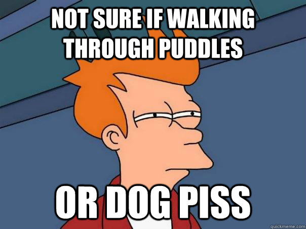 Not sure if walking through puddles Or dog piss  Futurama Fry