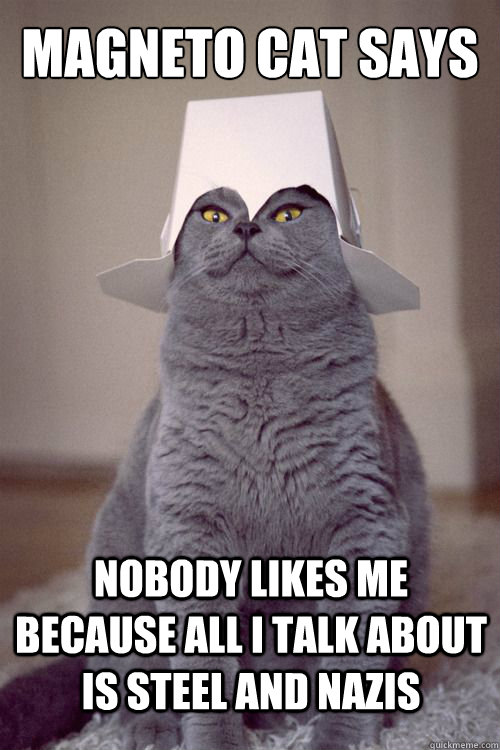 Magneto Cat Says Nobody likes me because all I talk about is steel and Nazis  Magneto Cat