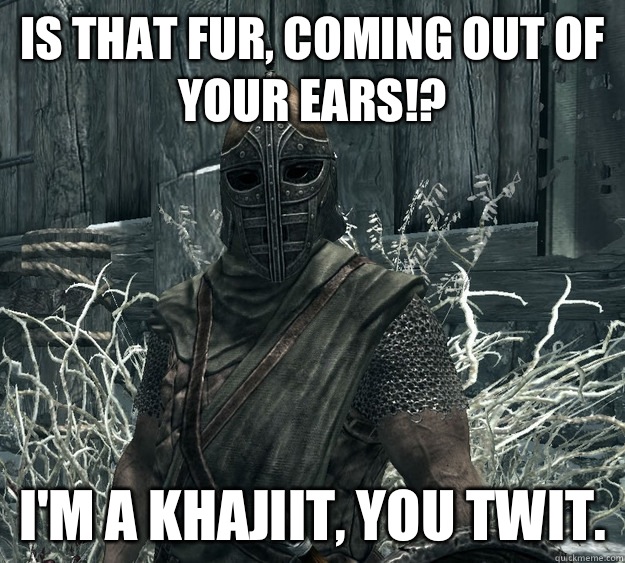 Is that fur, coming out of your ears!? I'm a Khajiit, you twit.  