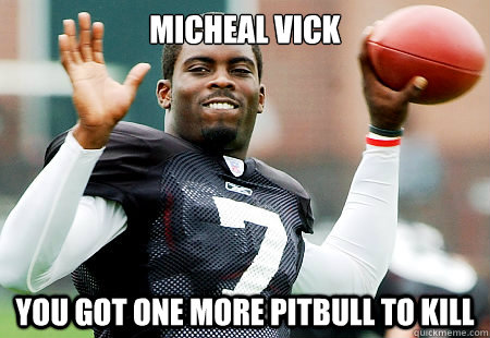 Micheal Vick you got one more pitbull to kill  Michael Vick Kills Dogs