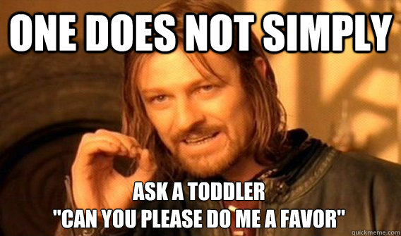 ONE DOES NOT SIMPLY ASK A TODDLER 
