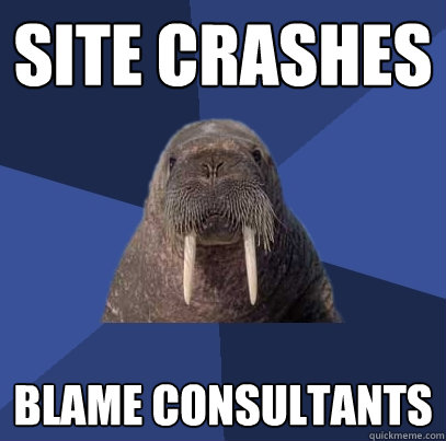 Site crashes Blame Consultants  Web Developer Walrus