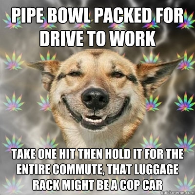 pipe bowl packed for drive to work take one hit then hold it for the entire commute, that luggage rack might be a cop car  Stoner Dog