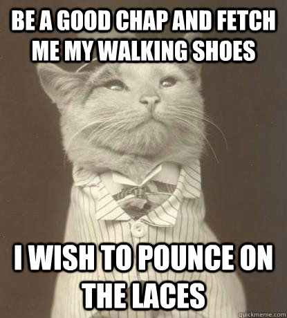 be a good chap and fetch me my walking shoes i wish to pounce on the laces  Aristocat