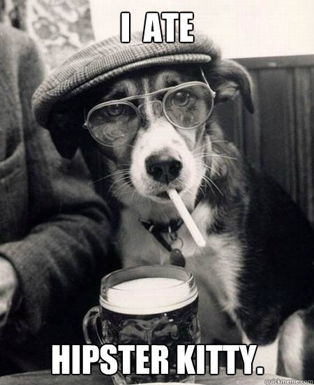 i  ate hipster kitty.  Hipster Dog