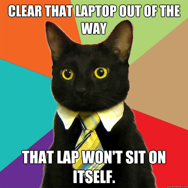 Clear that laptop out of the way That lap won't sit on itself.  Business Cat