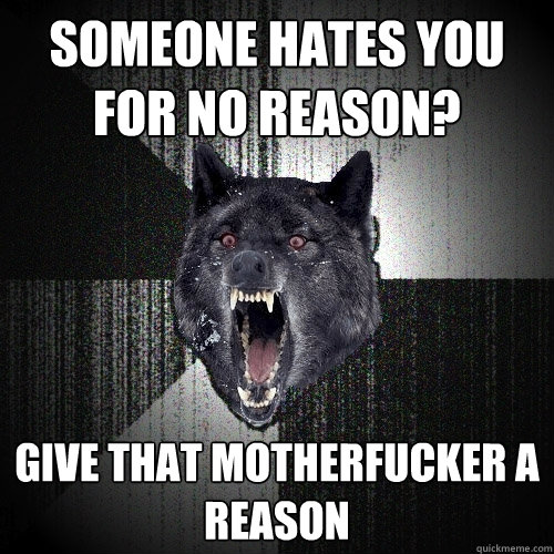 someone hates you for no reason? give that motherfucker a reason  Insanity Wolf